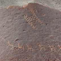 Petroglyphs of Toro Muerte II
